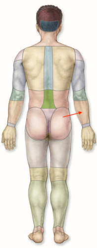 <p>what is this section called?</p>