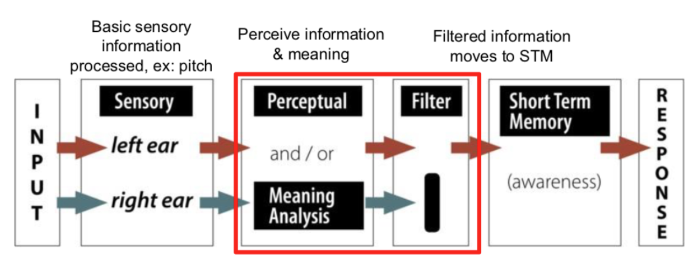 <p>Late selection model</p>