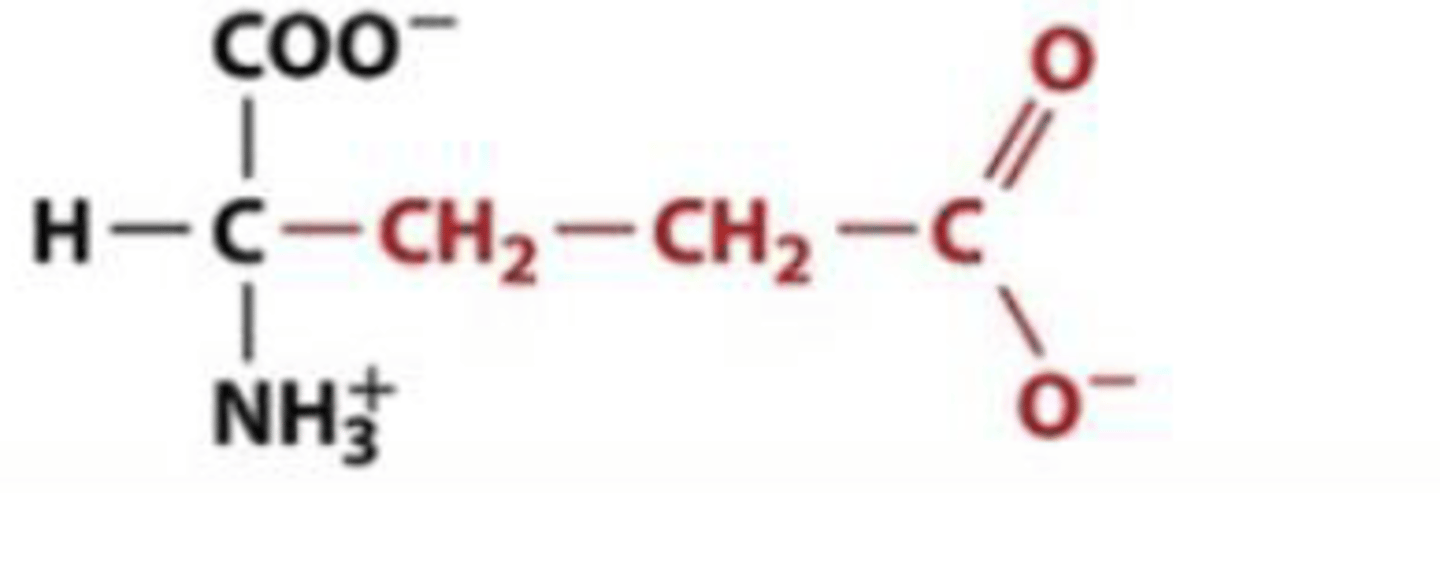 <p>Glue, E, neg charge (acidic)</p>