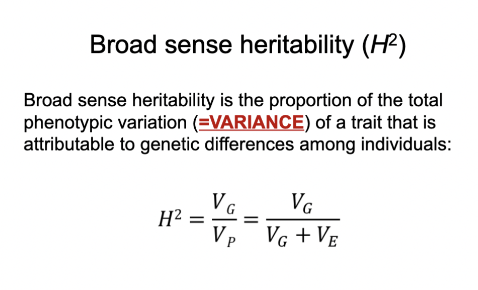 <p>proportion of total phenotypic variance of a trait that is attributable to genetic differences among individuals</p>