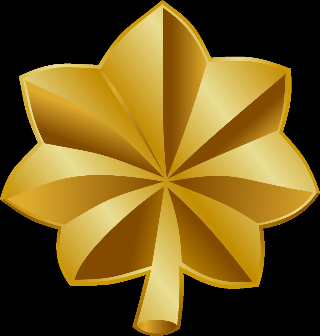 <p>One gold oak leaf</p>