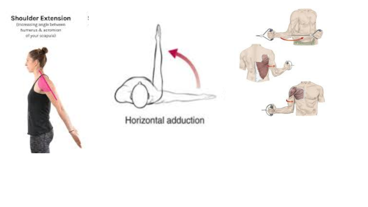 <p>Shoulder Extension, Shoulder Adduction, Medial Rotation of the Shoulder </p>