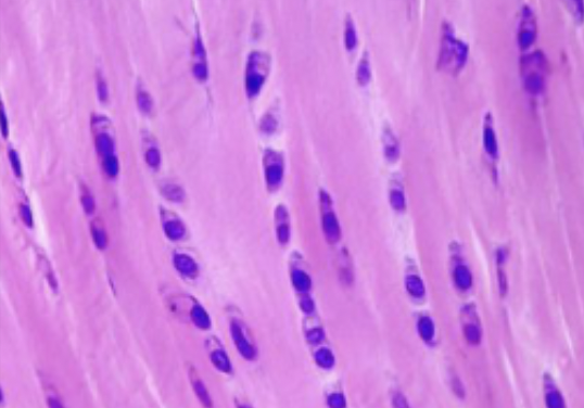 <p>what is this </p>