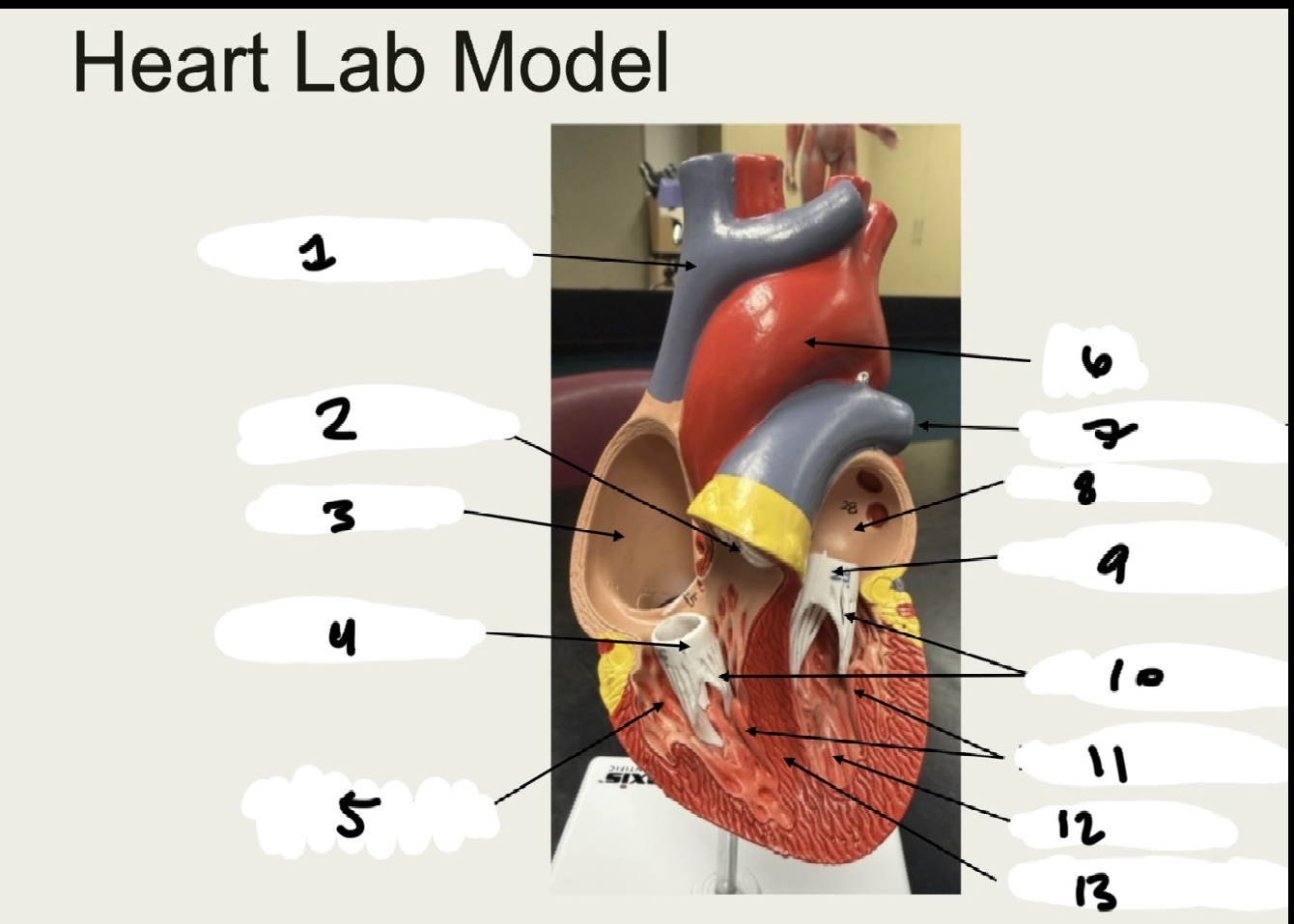<p>1.XX</p><p>2.XX</p><p>3.XX</p><p>4.XX</p><p>5.XX</p><p>6.XX</p><p>7,XX</p><p>8.XX</p><p>9.XX</p><p>10.XX</p><p>11.XX</p><p>12.XX</p><p>13.XX</p>