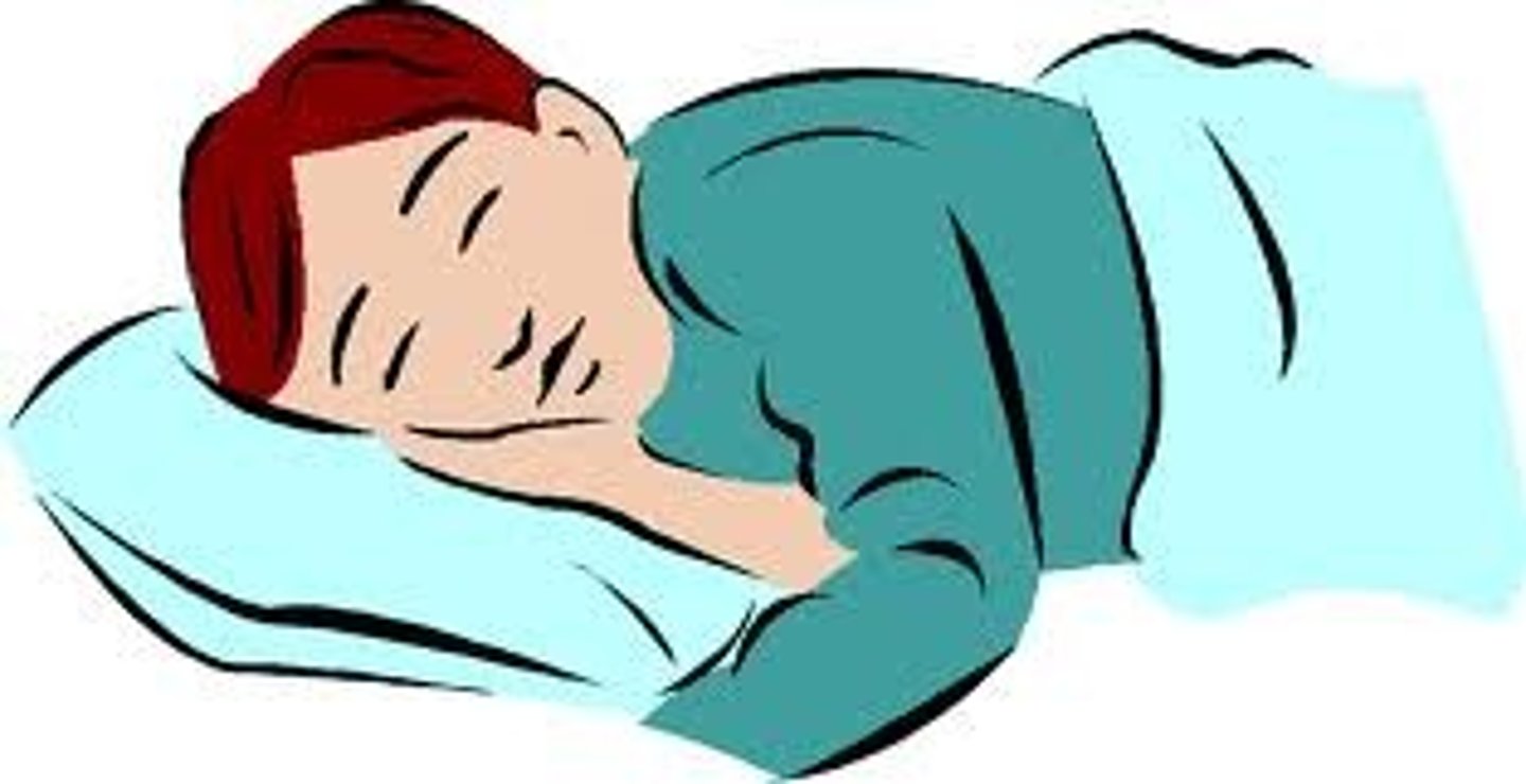<p>to sleep (o-ue)</p>