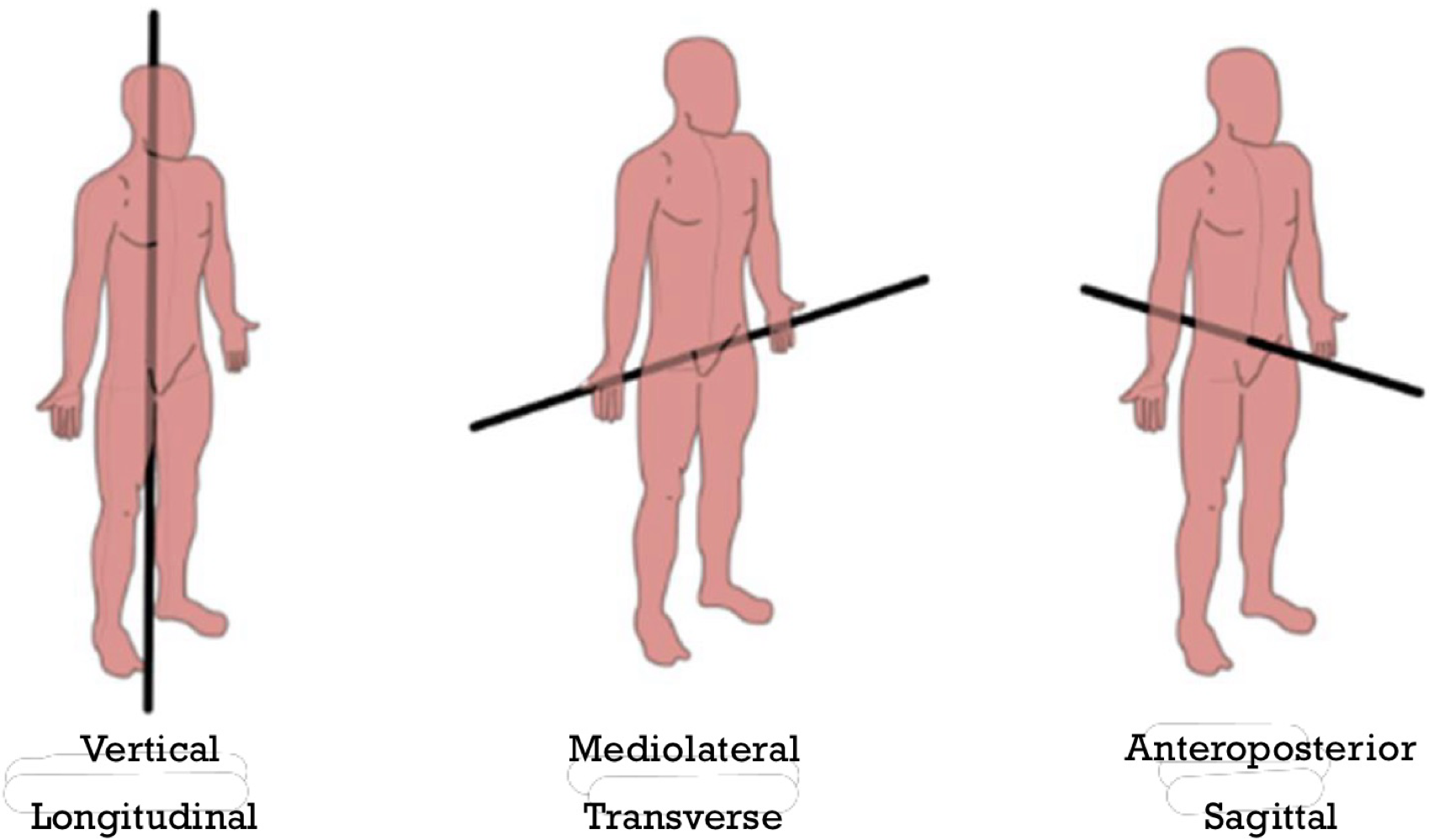 <p>A straight line around which an object rotates; Movement at the joint takes place about an axis; perpendicular to the planes of motion (Rotation is parallel to the plane of motion?)</p>