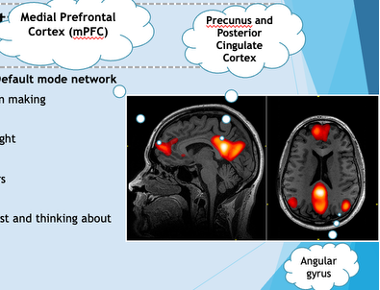 <ul><li><p><span style="background-color: transparent;">Stable and reliable selection of brain areas activated&nbsp;</span></p></li><li><p><span style="background-color: transparent;">Medial prefrontal cortex - involved in planning and decision making</span></p></li><li><p><span style="background-color: transparent;">Precunus and posterior cingulate cortex - self-referential thought, thinking about themselves, or Thinking about others, Remembering the past and thinking about the future</span></p></li></ul><ul><li><p><span style="background-color: transparent;">Angular gyrus - association between memory and attention, involved in sense of decoupling from internal and external, also out of body experience</span></p></li></ul><p></p>