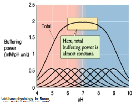 <p>25 mM per pH unit (graph is incorrect)</p>