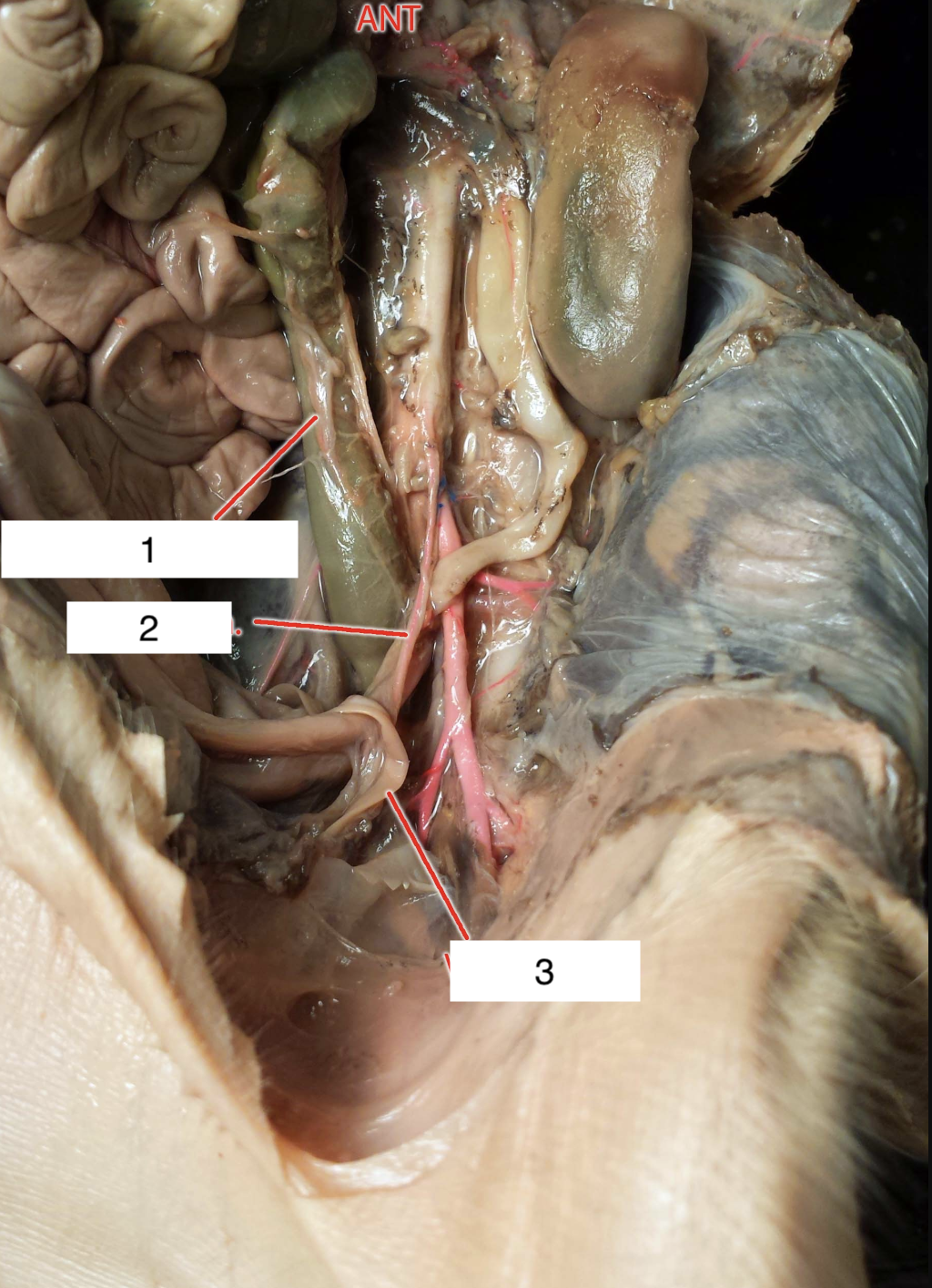 <p>2?</p>