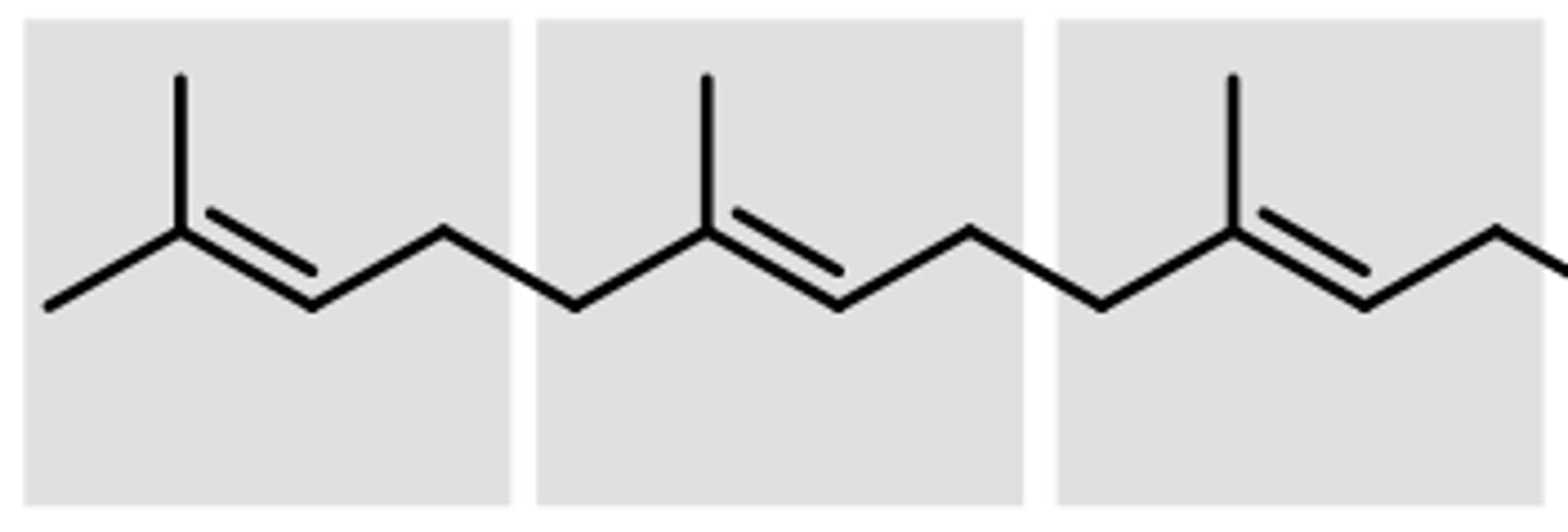 <p>* sesqui means ½</p><p>*contain 3 isoprene units</p>