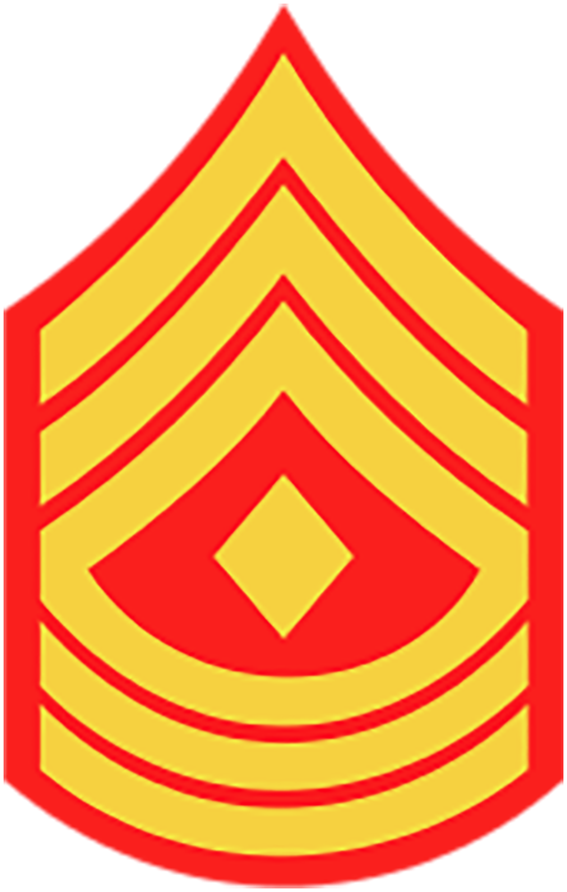 <p>What is the E8 advisor nocommissioned officer Marines title and acronym?</p>