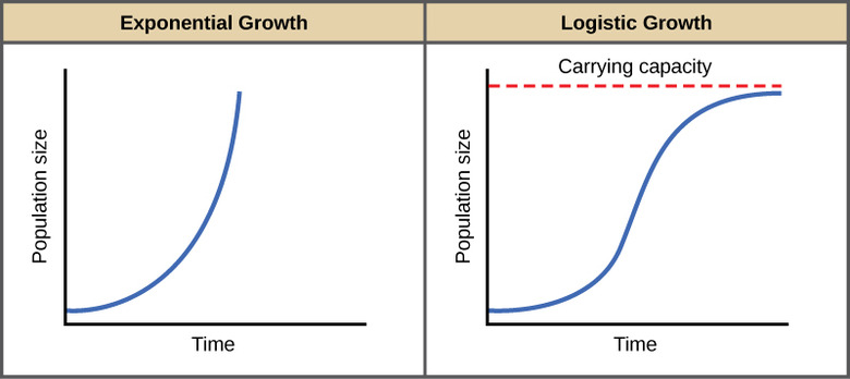 <p>description of a exponential growth model </p>
