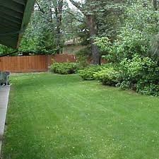<p>garden/yard</p>