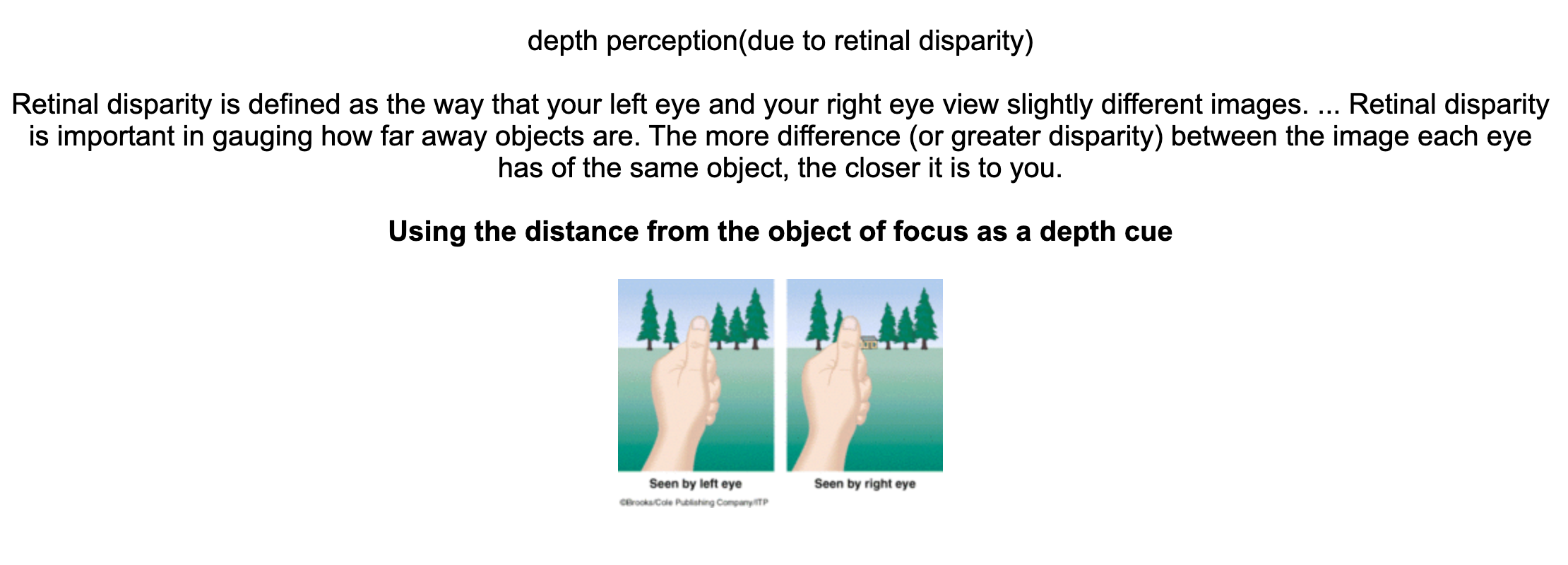 <p>depth perception</p>