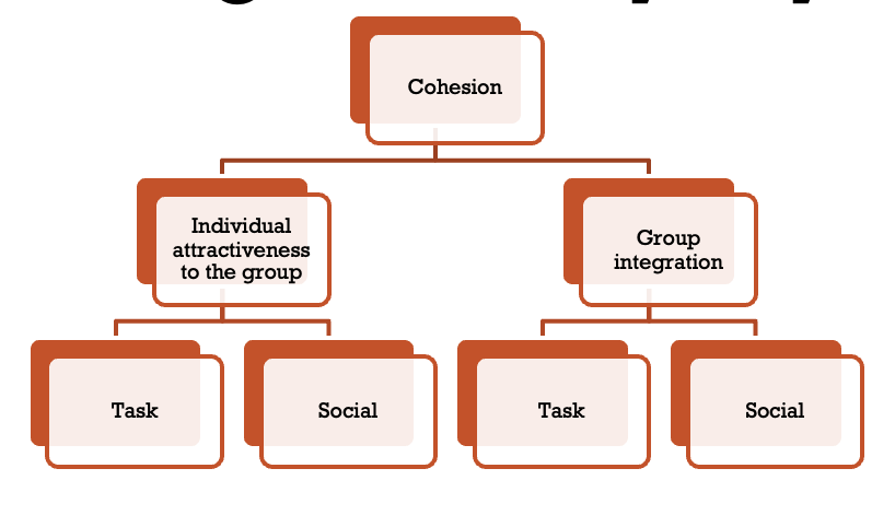 <ol><li><p>Attraction to group – task: I like this groups style of play</p></li><li><p>Attraction to group – social: I like this person/people on this team</p></li><li><p>Group integration – task: We all take responsibility for anu loss or poor performance by team</p></li><li><p>Group integration – social: We all hangout everyday after practice </p></li></ol><p></p>