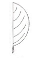 <p>what type of leaf margin is this?</p>