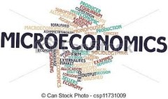 <p>Def: Economic decision making by individuals, households, and businesses.</p>