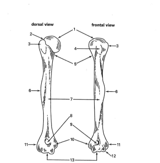 <p>1</p>