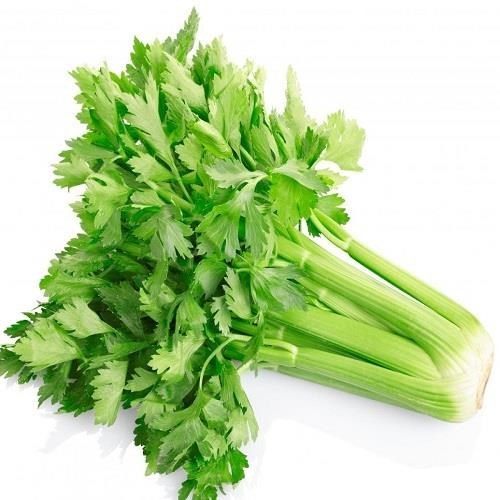 <p>Celery</p>