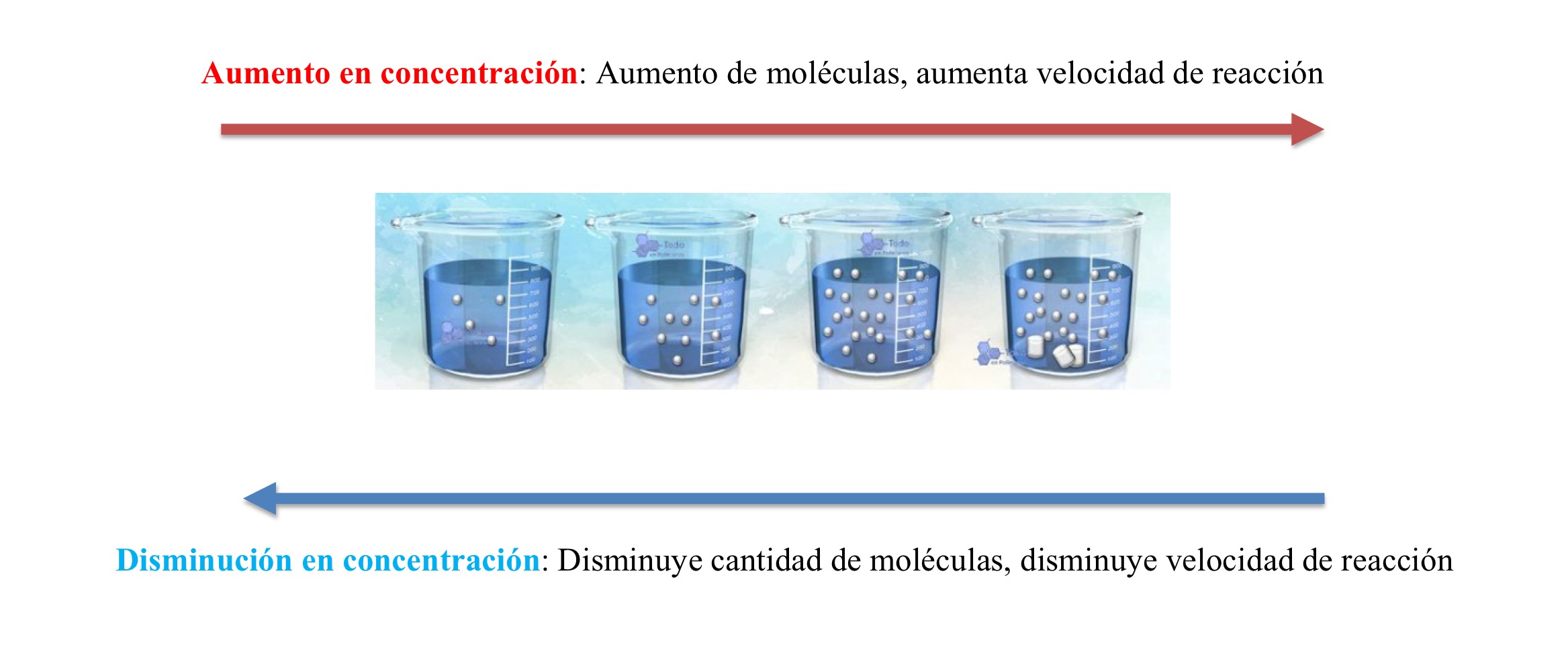 <p>Mientras <strong>más moléculas </strong>están presentes en un envase, <strong>la frecuencia de las colisiones será mayor </strong>y la <strong>reacción ocurrirá </strong>más a menudo.</p>