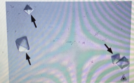 <p>Idenitity crystal?</p>