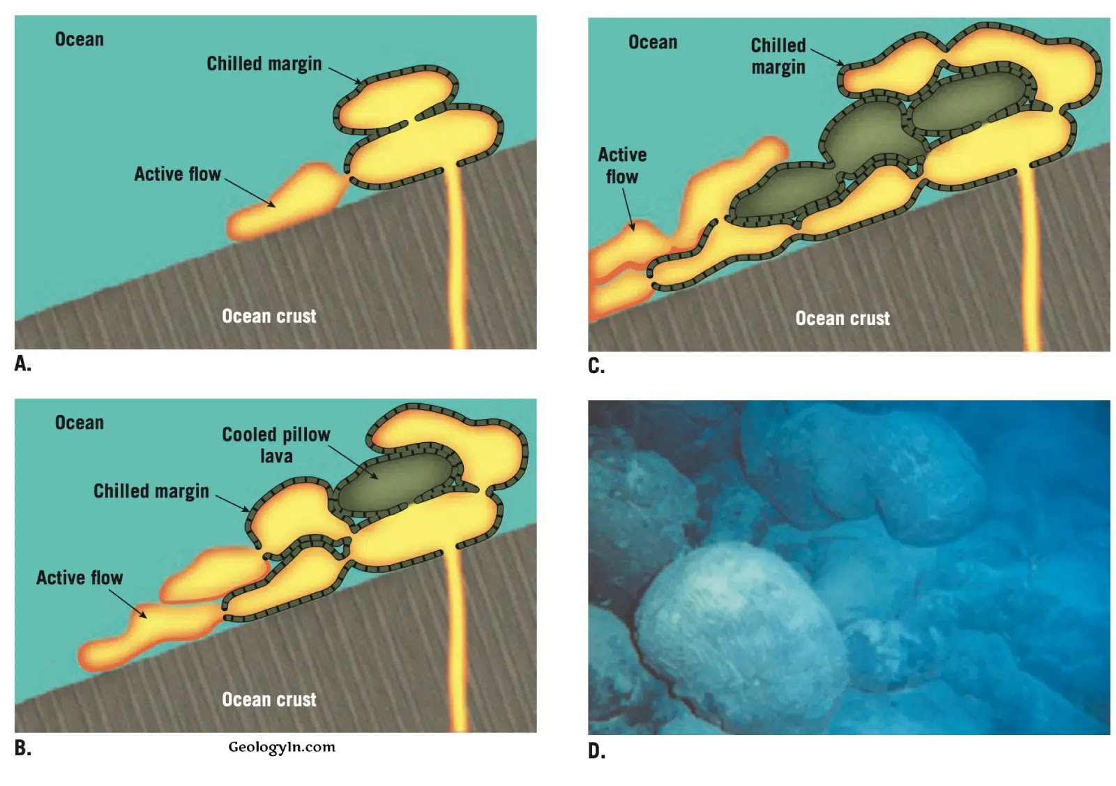 <p>occurring along divergent plate boundaries on the ocean floor or other underwater eruptions </p>