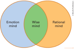 <p>It's a state of being where one can access both logic and feelings to make balanced decisions.</p><p></p>