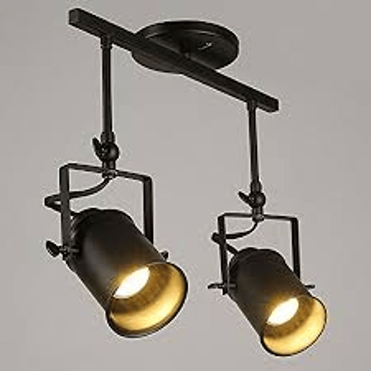 <p>a. Low Power Sodium (LPS) Track Light</p>