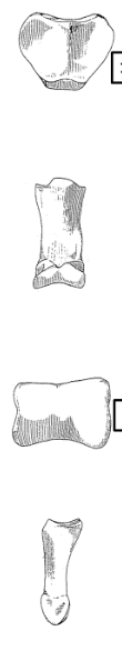 <p>identify with features</p>