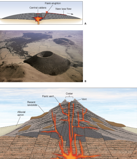 <p><span>The shape of a volcano is a reflection of the type of eruptions that have occurred throughout the volcano’s lifespan. Which of the images below shows a volcano that most likely oscillated between effusive and explosive eruptions many times during its lifespan?</span></p>