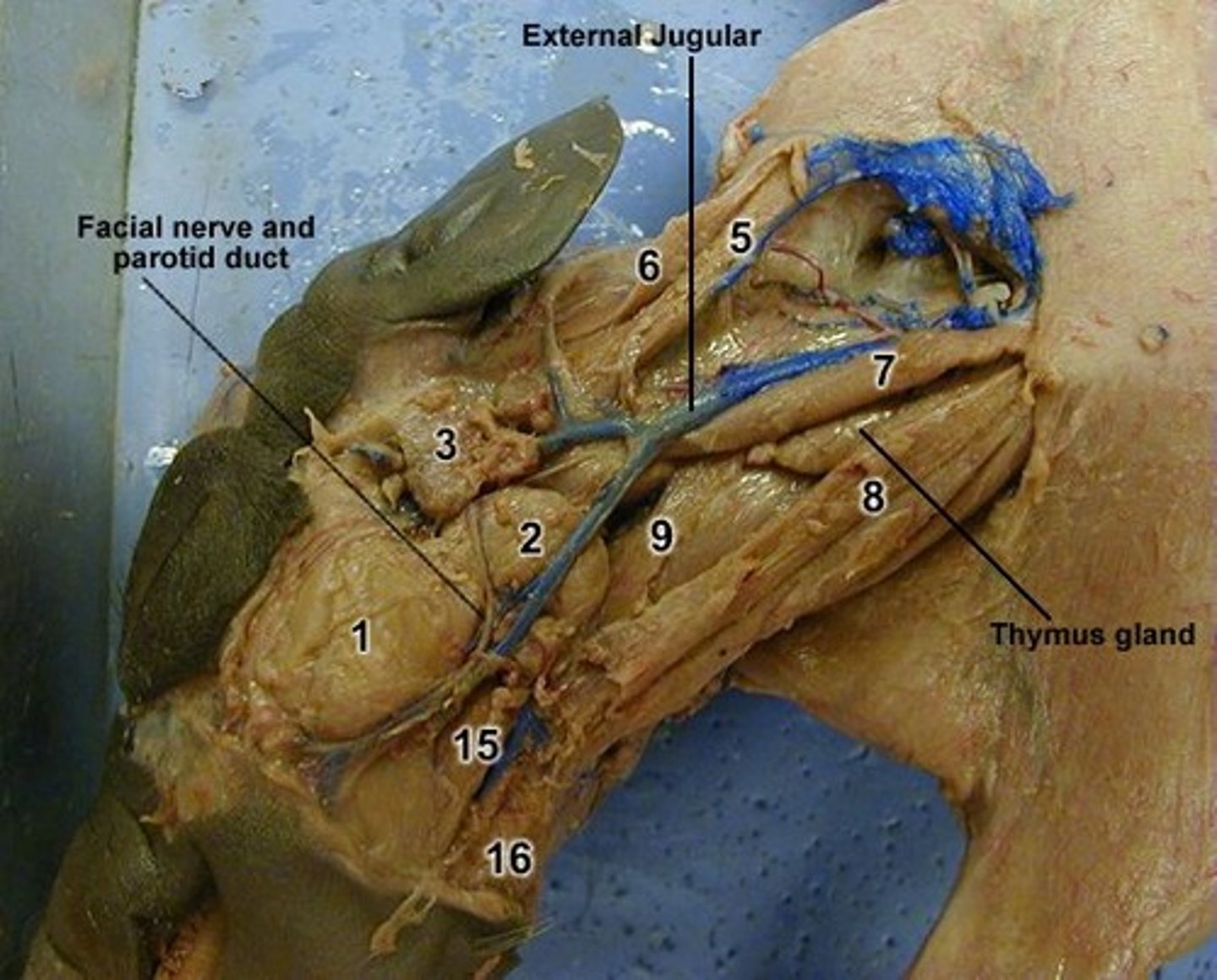 <p>3 = ?</p>