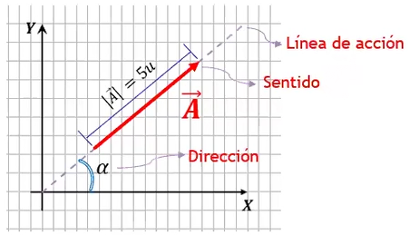 <p>elementos de un vector </p>