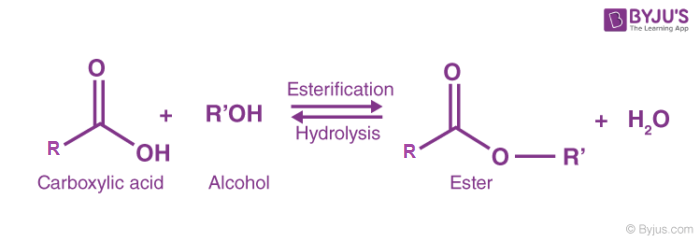 <p>Esterification Reaction</p>