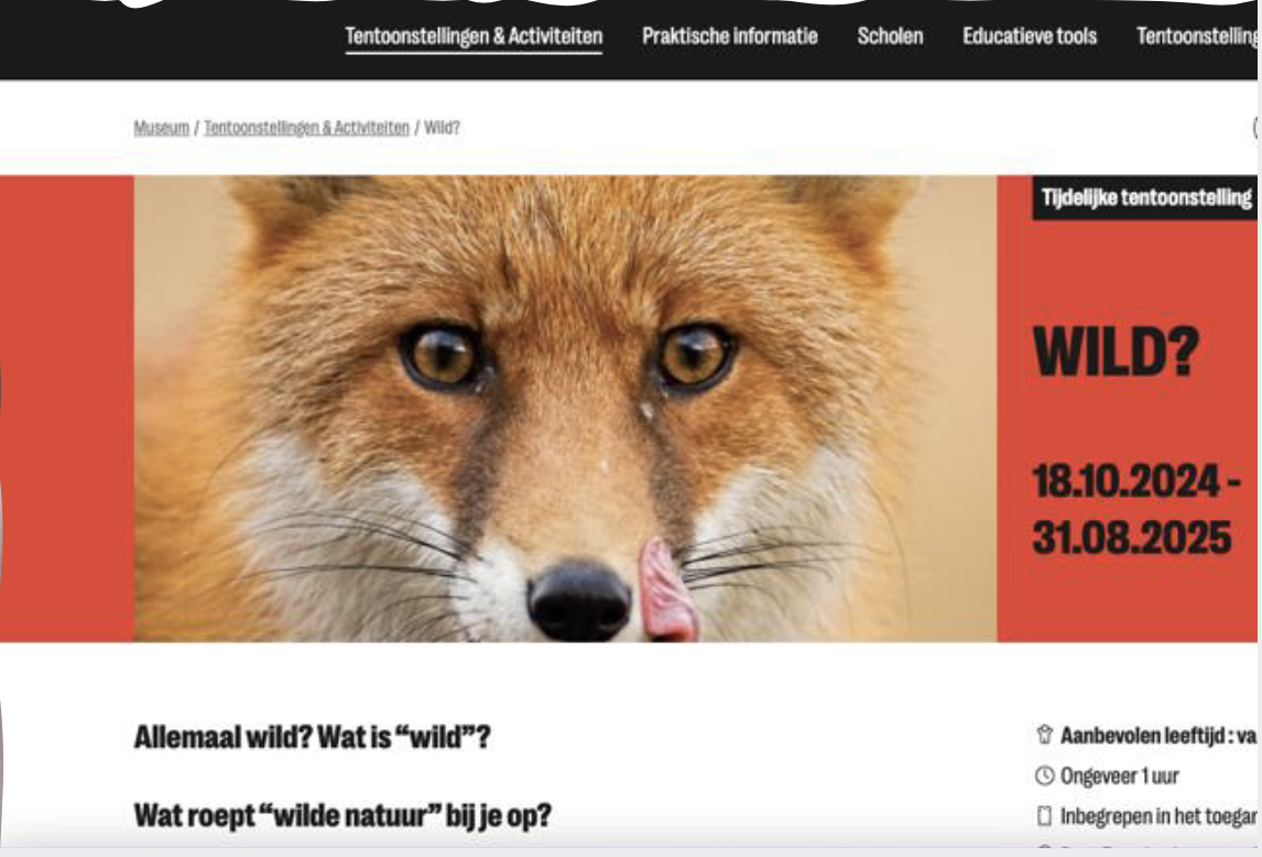 <ul><li><p><strong><em>WILD?</em></strong><span> in het Instituut voor Natuurwetenschappen</span></p></li></ul><p></p>