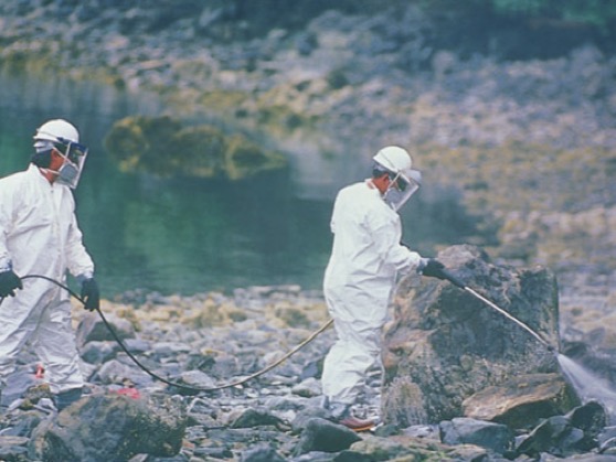 <p>The use of organisms to remove pollutants from the environments </p>