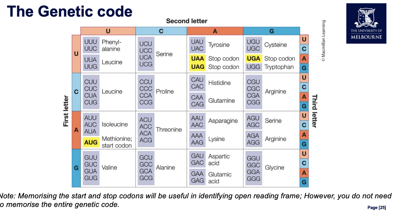 <p>redundancy - diff codon = same amino acids</p>