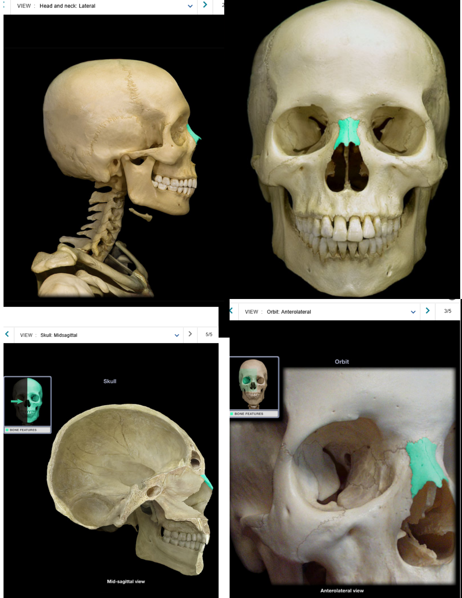 knowt flashcard image
