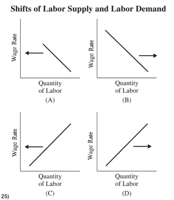 <p>Pick the panel that would best model the following scenario: A significant number of immigrants enter the labor market.</p>