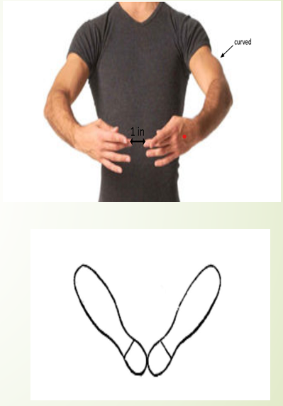<p>ARMS: Both arms raised in a circle in front of chest with a finger tips about an inch part</p><p>FEET: Heels close together, toes apart with an angle of 45 degrees</p>