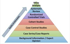 <p>Gold standard of clinical information, highest evidence level.</p>