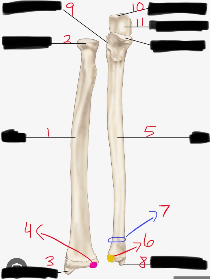 <p>2</p>