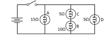 <p>Bulb D</p>