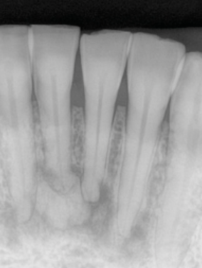 <p>what is the management? </p>