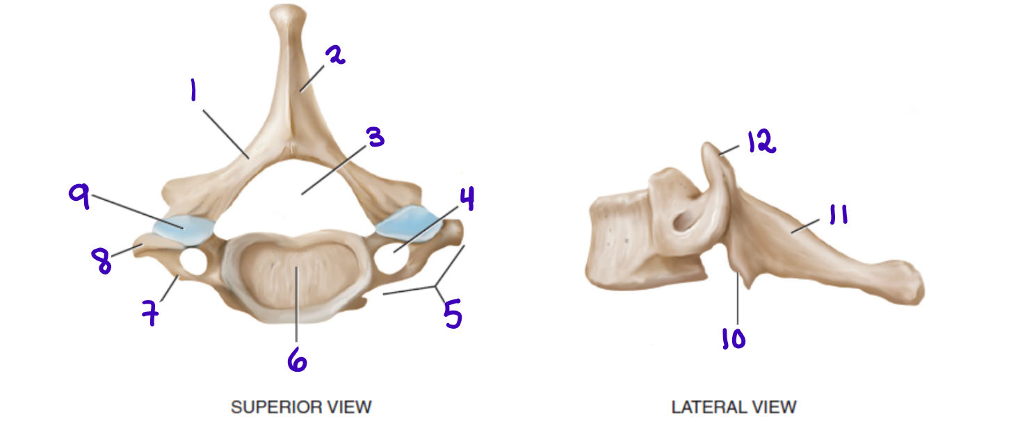 <p>10</p>