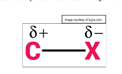 <p>polar bonds as the halogens are more electronegative than carbon atoms. This means electron density is drawn towards the halogen forming ∂+ and ∂- regions </p><p></p>
