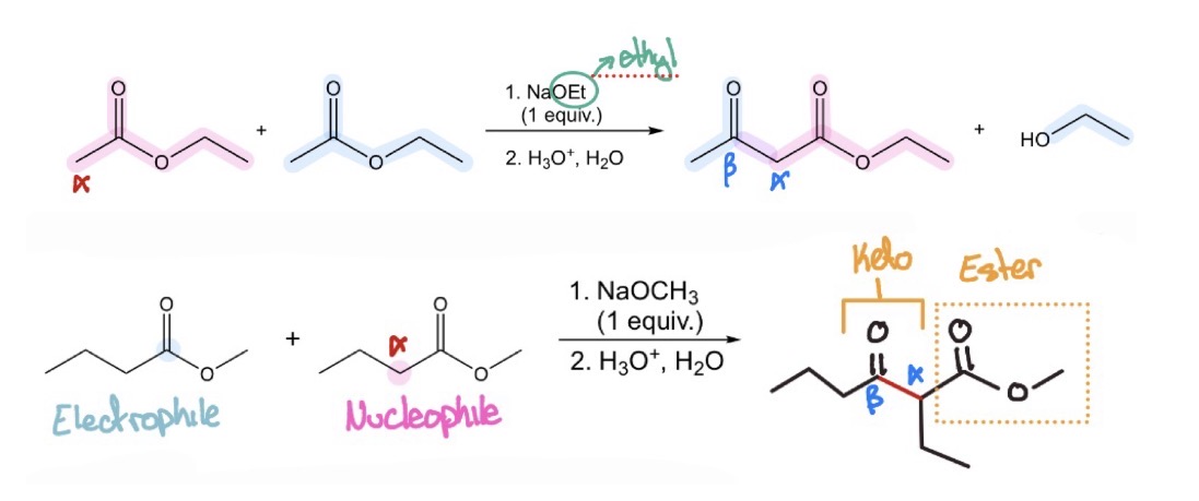 <p>Claisen Condensation</p>