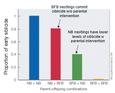 <p>what does this graph show?</p>