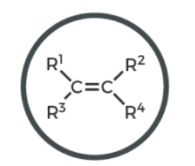 <p>what functional group is this? </p>