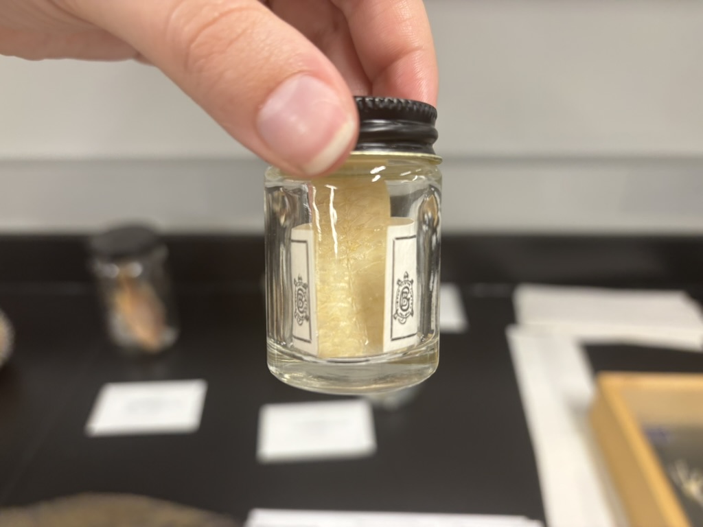 <p>What types of scales are these?</p>