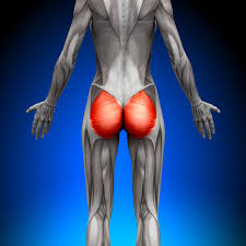 <p>A: extension and lateral rotation of hip</p>